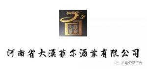 河南省大汉菲尔酒业有限公司涉水直销
