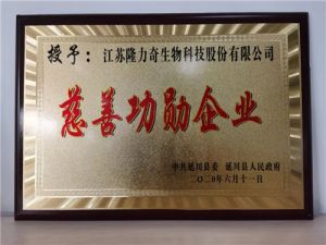 中共延川县委授予隆力奇“慈善功勋企业”称号