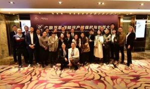 绿叶线上出席“2021中欧互联网知识产权保护与创新大会”