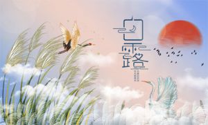 和治友德 | 白露：露从今夜白 秋意日渐浓