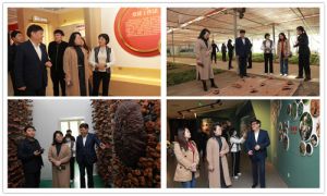 吉林省蛟河市政协主席刘春青参观安惠公司