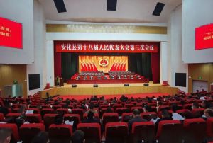 安化县政协委员、绿之韵集团副总经理胡武安参加政协安化县第十届委员会第二次会议
