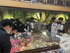 南通外国语学校在安惠园开展社会实践活动
