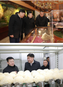 内江市东兴区委书记一行考察安惠生物科技园