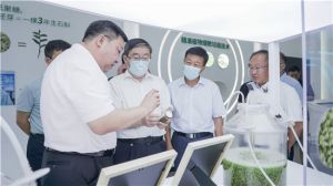 金木集团：传承创新助力社会责任履行
