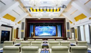 安然集团出席新型消费高质量发展雄安论坛