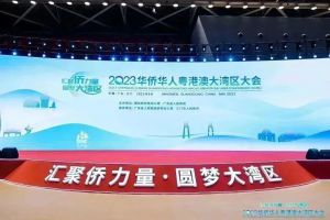 完美董事长受邀出席2023华侨华人粤港澳大湾区大会