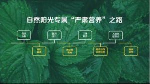 自然阳光“严肃营养”战略亟待突破新未来