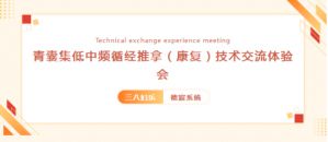 三八妇乐德宸系统青囊集技术交流体验会召开