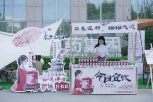 跨界联动！福瑞达伽美博士&#215;阿水大杯茶上新红石榴玻尿酸饮