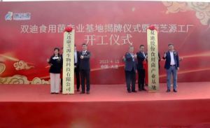 新赛道上提速前行 双迪食用菌领域又添新徽章