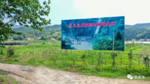 康美来余春富进山安排2024年度灵芝种植计划