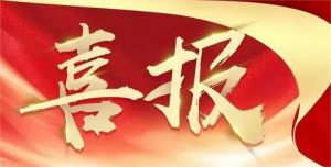 威海紫光研发中心工程师陈思获“威海市自然科学优秀学术成果奖”