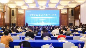 绿之韵胡国安当选湖南省海外联谊会副会长