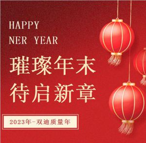 2023年回顾之双迪质量年
