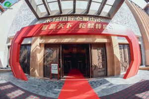富迪2023年度市场精英颁奖盛典广州璀璨绽放