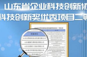 捷报频传，安然集团荣获山东省优秀项目奖！