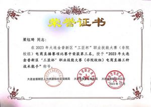 双迪三名选手获新区工匠杯职业技能大赛荣誉