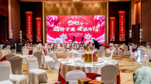 罗麦科技2024龙腾万里破浪而行新春年会收官