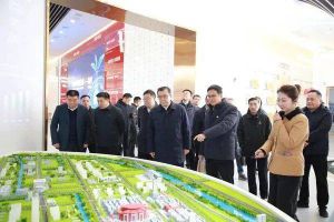 亳州市委书记杜延安调研康美（亳州）中药城商文旅一体化发展工作
