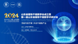 定了！安然参与举办山东省级学术研讨会！