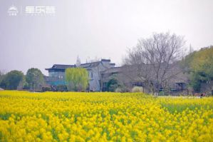 烟花三月 无限极2024星乐营在乌镇举行