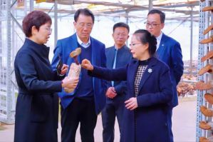 山东省东营市副市长一行考察安惠生物科技园