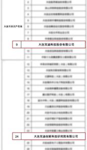 双迪如何打造新质生产力的核心竞争力？