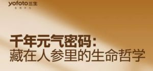 补充元气三生御坊堂同源萃一参元气饮将上市
