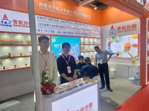 宇航人沙棘产品参展FIA2025开启全球新征程