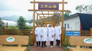 康美来集团举办2025大别山灵芝文化节