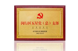 示范引领春芝堂荣获“五星党（总）支”称号