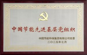 新时代党委在“两优一先”表彰大会上获荣誉
