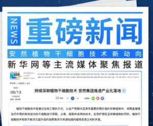 新华网聚焦报道安然植物干细胞技术新动向