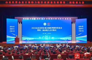 卫康荣登临沂“凤凰榜”：科技创新铸就传奇