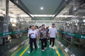 理想华莱：共探黑茶出海路同筑丝路新篇章