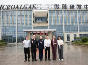绿之韵集团-赐百年微藻联合创新实验室落户江苏，共拓螺旋藻高值化应用新蓝海