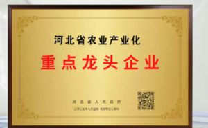 金木荣获河北省农业产业化重点龙头企业称号