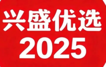 兴盛优选2025 年战略转型与商业模式创新深度研究