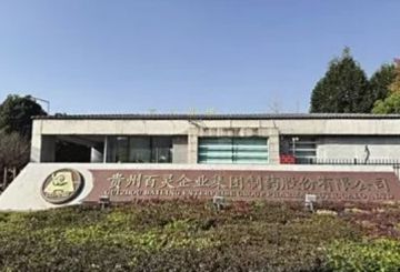 从纾困合作到对簿公堂 贵州百灵深陷“残酷联姻”</a>