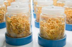 尚赫：别让冬天偷走你的元气，一场关于内在防御的觉醒