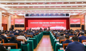 胡国安参加“迎老乡 回故乡 建家乡”座谈