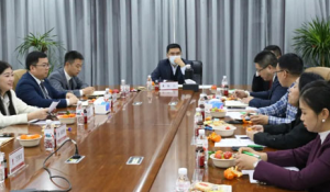 太阳神正和系统2026新春启动座谈会举行