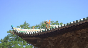 清晨生物：以“人道”立世，循“天道”而行