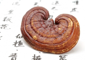 深耕灵芝研究，无限极再获多项权威认可！