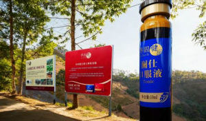 无限极全国四个研学基地已经迎来参观最佳期