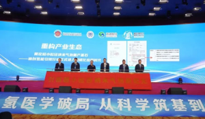 双迪迪创氢能攻克超小粒径纳米气泡技术难题